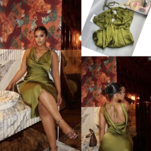 Zara Silk Dress