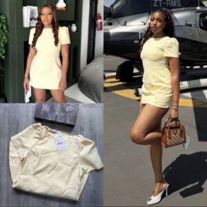 Zara Mini Stylish Dress