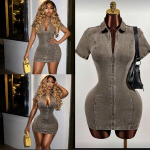 Denim Zipper Dress